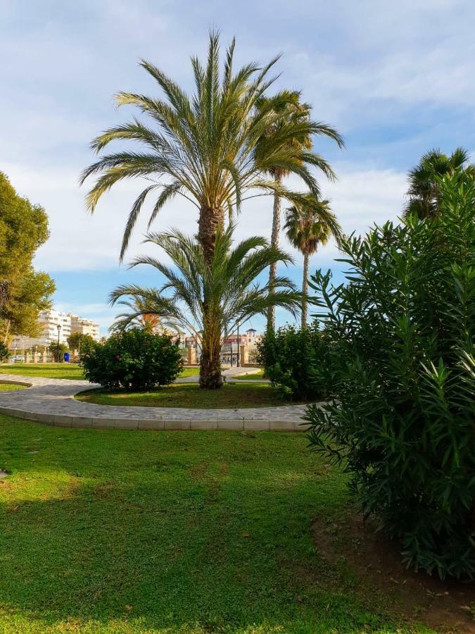 Apartament Margaret Torrevieja Exterior photo